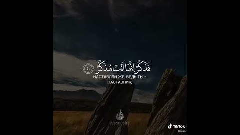 حاله واتس اب _ قران | افلا ينظرون الي الابل كيف خلقت... _ سورة الغاشية