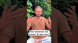 Как возникла вся жизнь? В чем суть? #пробуждение #духовность #просветление