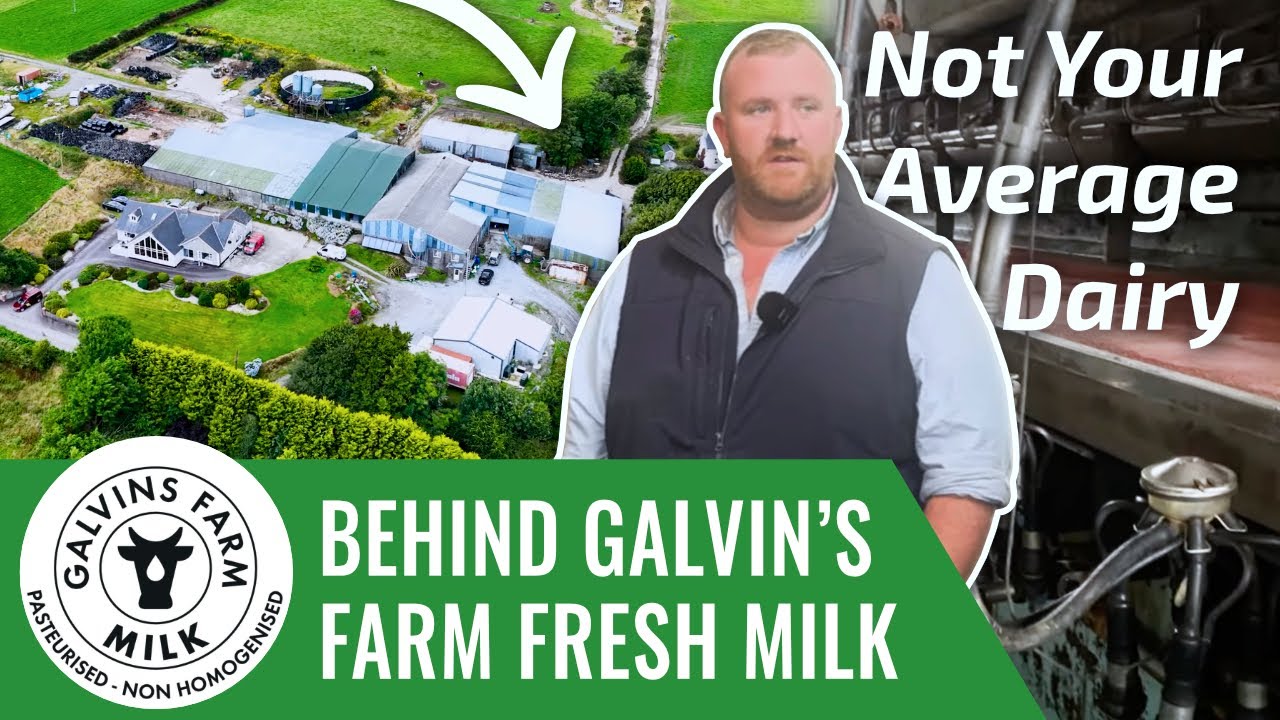 Необычная молочная ферма: как выглядит свежее молоко на ферме Галвина | Брайан Галвин