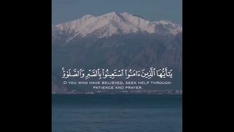 القارئ / عبدالله الخلف