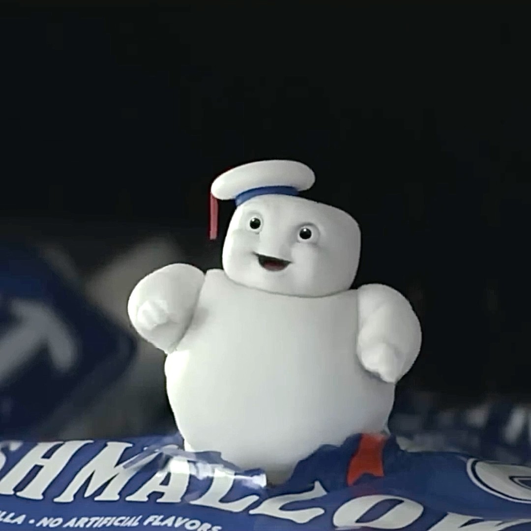 O MARSHMALLOW CRIOU VIDA #shorts