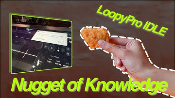 Nugget of Knowledge | Loopy Pro IDLE Issues
