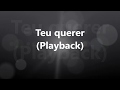 Teu querer - Playback