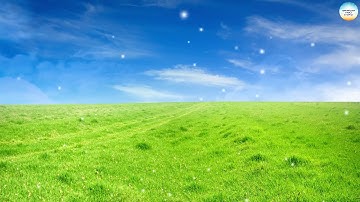 استخراج أحكام تلاوة من سورة البقرة - الآية 25- ج1