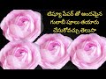 టిష్యూ పేపర్ తో అందమైన గులాబీ పూలు తయారు చేసుకోవచ్చు తెలుసాHow tomake Easy Tissue paper Rose flower