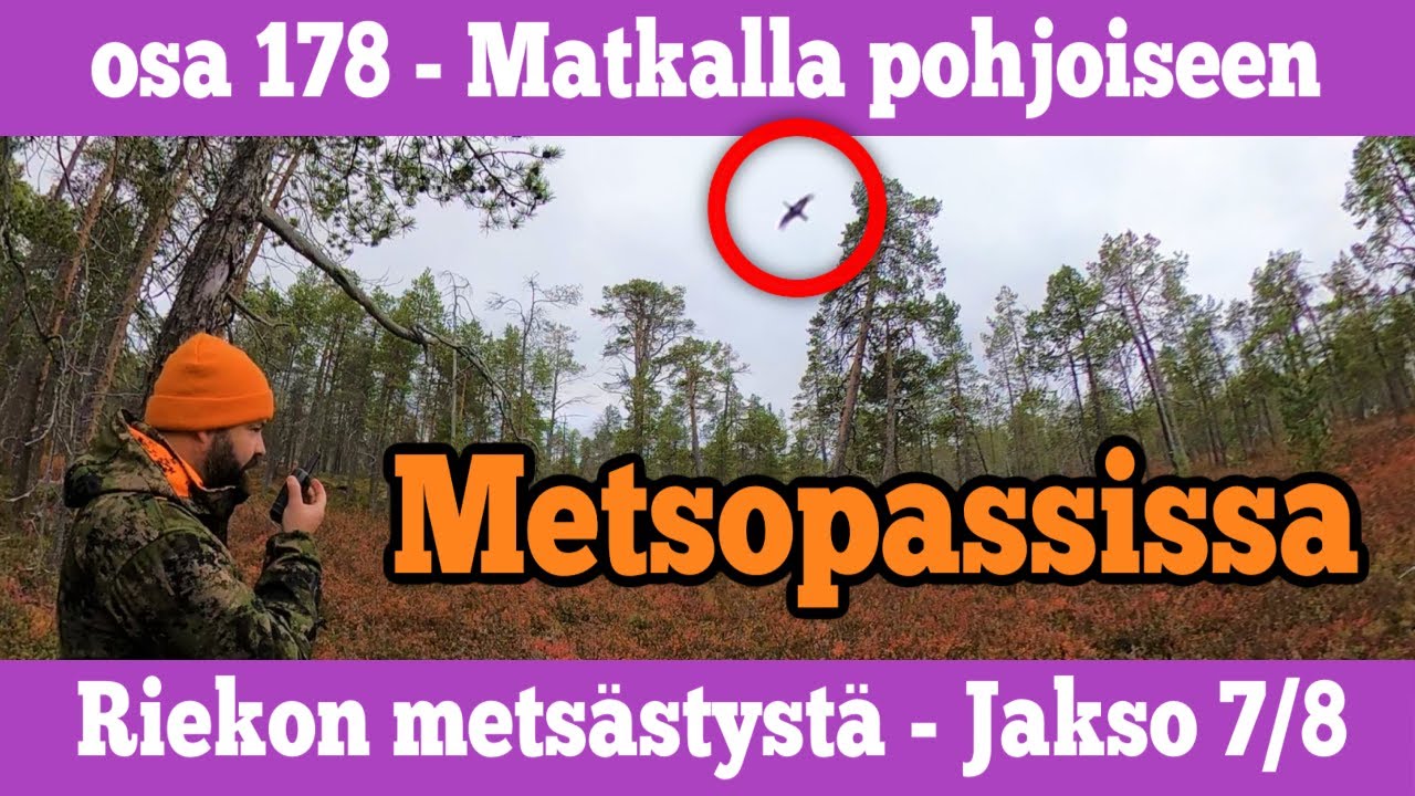Riekkojahti - jakso 7/8  - Metsopassi