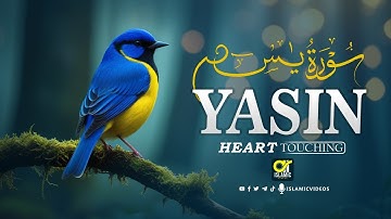 Surah Yasin (Yaseen) سورة يس | Wonderful Relaxing Heart Touching Voice | EP -194 | islamicvideos.a.r