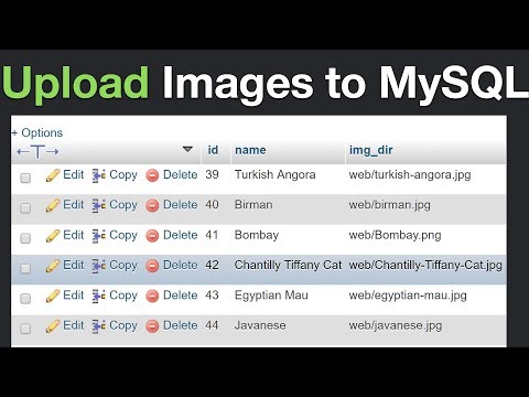 Video: How To Insert A Picture Into The Database