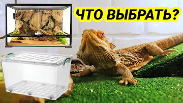Террариум для бородатой агамы – как выбрать и как обустроить? Обустройство террариума
