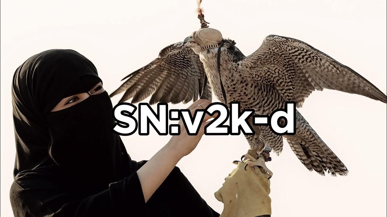 شيله | يا ام العيون الوساع اليا تبينتي ð¶| بطئ - YouTube