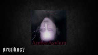 Video thumbnail of "Amber Asylum - Everything You Touch"