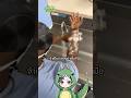 แปรงฟอกมือศัลยแพทย์ | TOGE トゲ