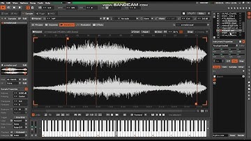 RENOISE JUNGLE - GARETH MONKS- RHYTHM