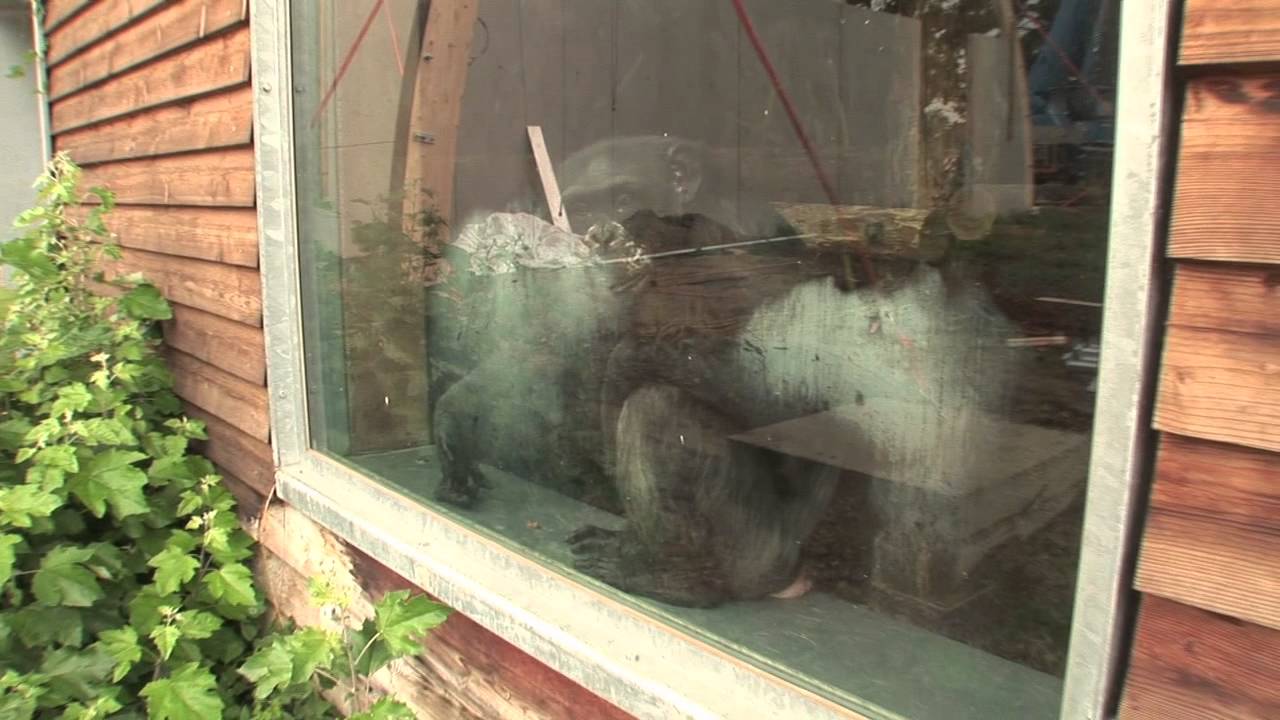 Gut Aiderbichl Affen-Refugium Gänserndorf Baustelle B-Haus