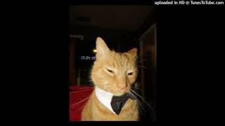 ICEGERGERT x 4a5mash                         Гектор x Tuesday (tik tok remix)