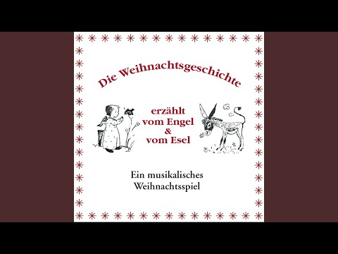 Video: Hat Maria auf einem Esel nach Bethlehem geritten?