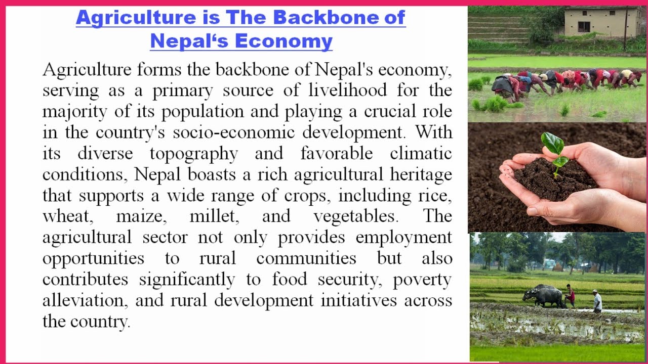 Essay on Agriculture is The Backbone of Nepal's economy - YouTube