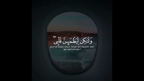 قال بلى ولكن ليطمئن قلبي || القارئ طارق محمد || سورة البقرة