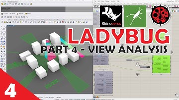 4 Grasshopper Ladybug  - View Analysis
