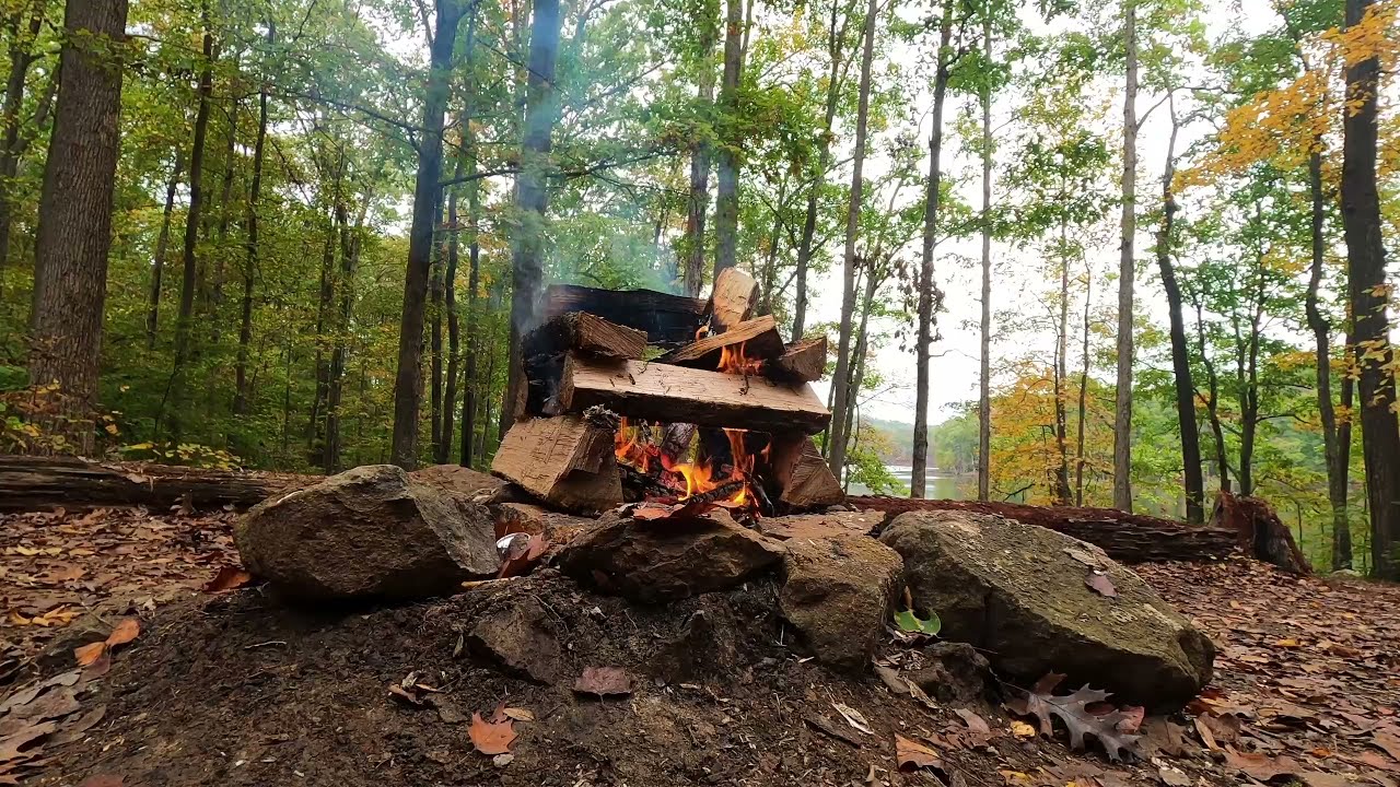 В лесу сыро идешь. Natural Fires. Bonfire with Wood in Day. Night in the Woods Campfire.