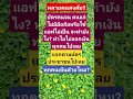 #news #memes #funny #youtubeshorts #youtube #shorts #short #shortvideo