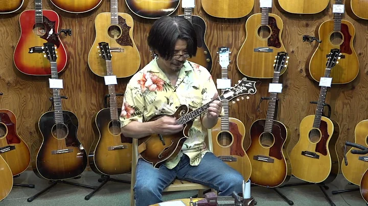 GIBSON DOYLE LAWSON 2016
