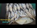Mancing Dasaran Di Laut Pakai Udang Sawer Strike Terus Tidak Berhenti _ Spot Potensial Part I - Mancing Dasaran Di Laut Pakai Udang Sawer Strike Terus Tidak Berhenti _ Spot Potensial Part I