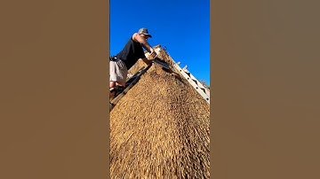Part 2 of a full re thatch 🛖 #thethatchingguy #alright #shorts #asmr #satisfying #youtubeshorts