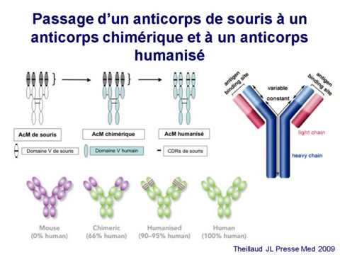 Vidéo: Différence Entre Les Anticorps Chimériques Et Humanisés