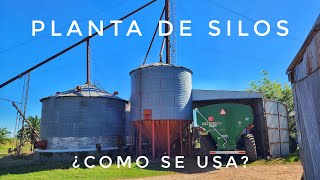 DESCARGANDO el MAÍZ de la COSECHA en la PLANTA de SILOS!!!