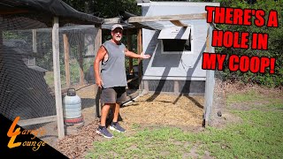 Download Lagu What Happened to the Coop?! MP3 Download Lagu What Happened to the Coop?! MP3