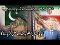 Pakistan: The New Global Symbol of Peace? US-NATO Retreat & Trump’s Strategy | EP.24