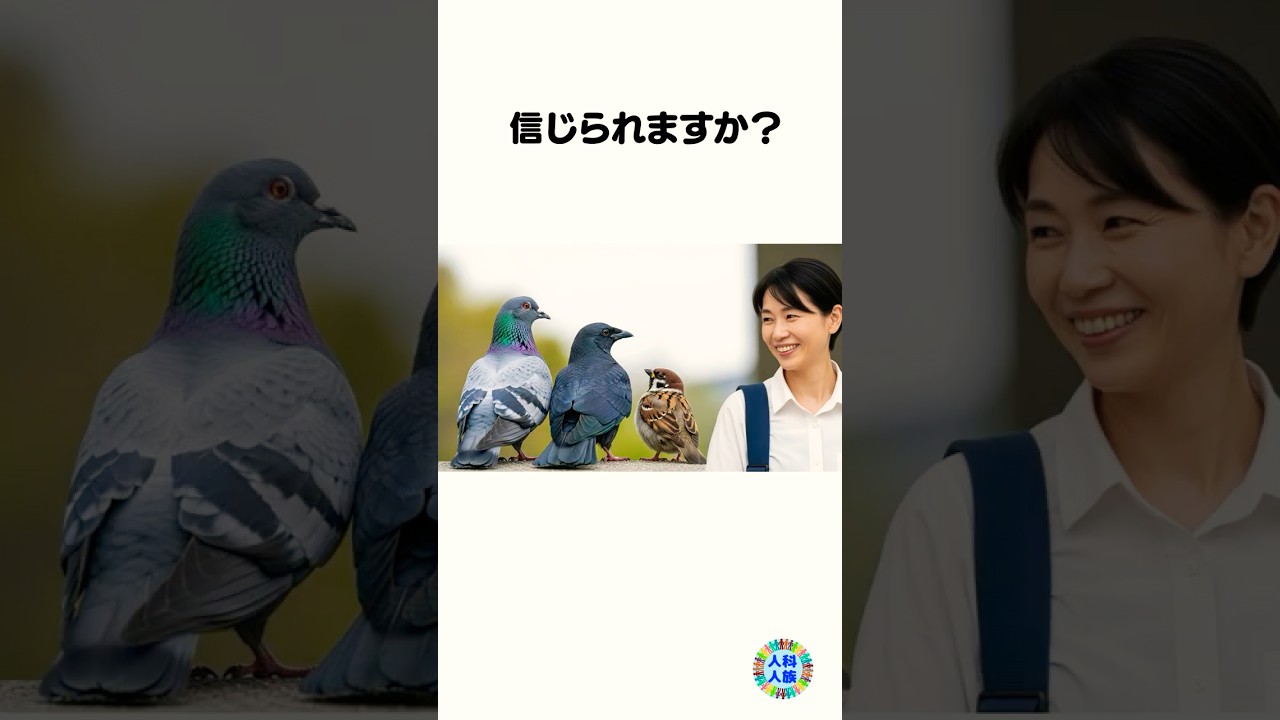 【知られざる】スズメ（鳥たち）の人間識別能力