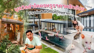 Download Lagu พูลวิลล่าสุดหรูราคาหลักร้อยแห่งสัตหีบ ร้านอร่อยกับคาเฟ่ลับในป่า ใครเที่ยวโซนชลบุรีแนะนำเลย MP3 Download Lagu พูลวิลล่าสุดหรูราคาหลักร้อยแห่งสัตหีบ ร้านอร่อยกับคาเฟ่ลับในป่า ใครเที่ยวโซนชลบุรีแนะนำเลย MP3