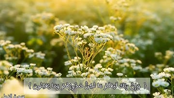 { وَإِنَّ رَبَّكَ لَذُو فَضْلٍ عَلَى النَّاسِ وَلَكِنَّ أَكْثَرَهُمْ لَا يَشْكُرُونَ } سورة النمل