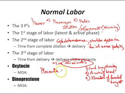 precipitate labour pdf precipitate labour pdf