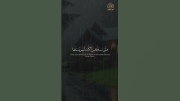 #القرآن #اكسبلور #المصحف #القرآن_الكريم #حالات_واتس #نور_القرآن #آيات_من_القرآن #كرومات_قرآن #لايك