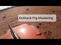 Australian Feral Pig Muster. Hog Hunting Videos. Razorback. Wild Hogs.