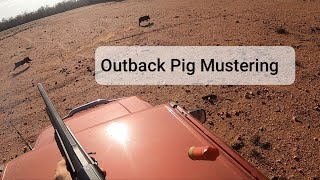 Australian Feral Pig Muster. Hog Hunting Videos. Razorback. Wild Hogs.