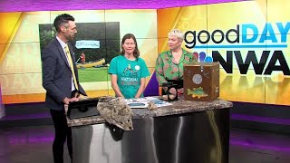 Celebrate the Ozark Natural Science Center at event