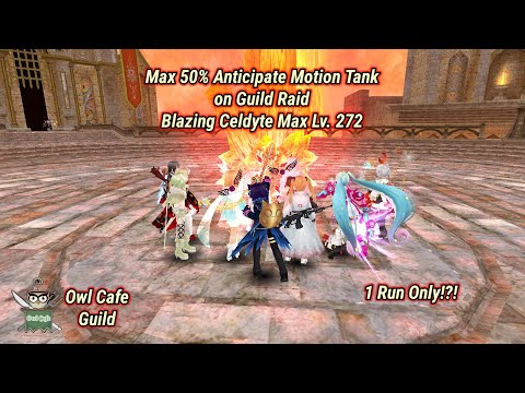 Toram Online - Max 50% Anticipate Motion Tank on Guild Raid Blazing Celdyte Max Lv. 272 | 1 Run Only