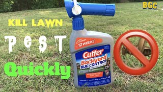 Do this NOW, how to kill Lawn Pest quickly using Cutter Bug Control  // Lawn