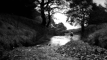 SportDOG® TEK Series 1.0 - The Revolutionary Dog Tracking and Training System