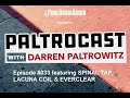 Paltrocast with darren paltrowitz episode 033  derek smalls lacuna coil  art alexakis
