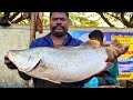 Kasimedu  speed selvam  original sea bass fish cutting  in kasimedu  ff cutting 