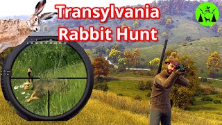 First Rabbit Hunt in Way of the Hunter - Transylvania European Hare Hunt Pure Hunt Series screenshot 4