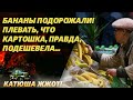 Форбс и другие переживают! Как же русские без бананов?