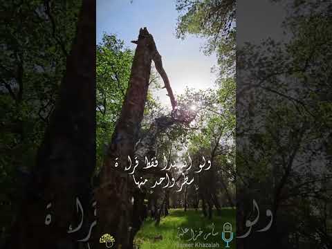 كلنا كالكتب بصوت سامر الخزاعلة 