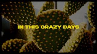 Daza ft. Otto Palmborg - Crazy Days (Lyrics Video) Resimi