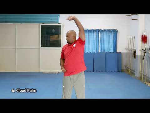 Basic Wushu Hand Movements